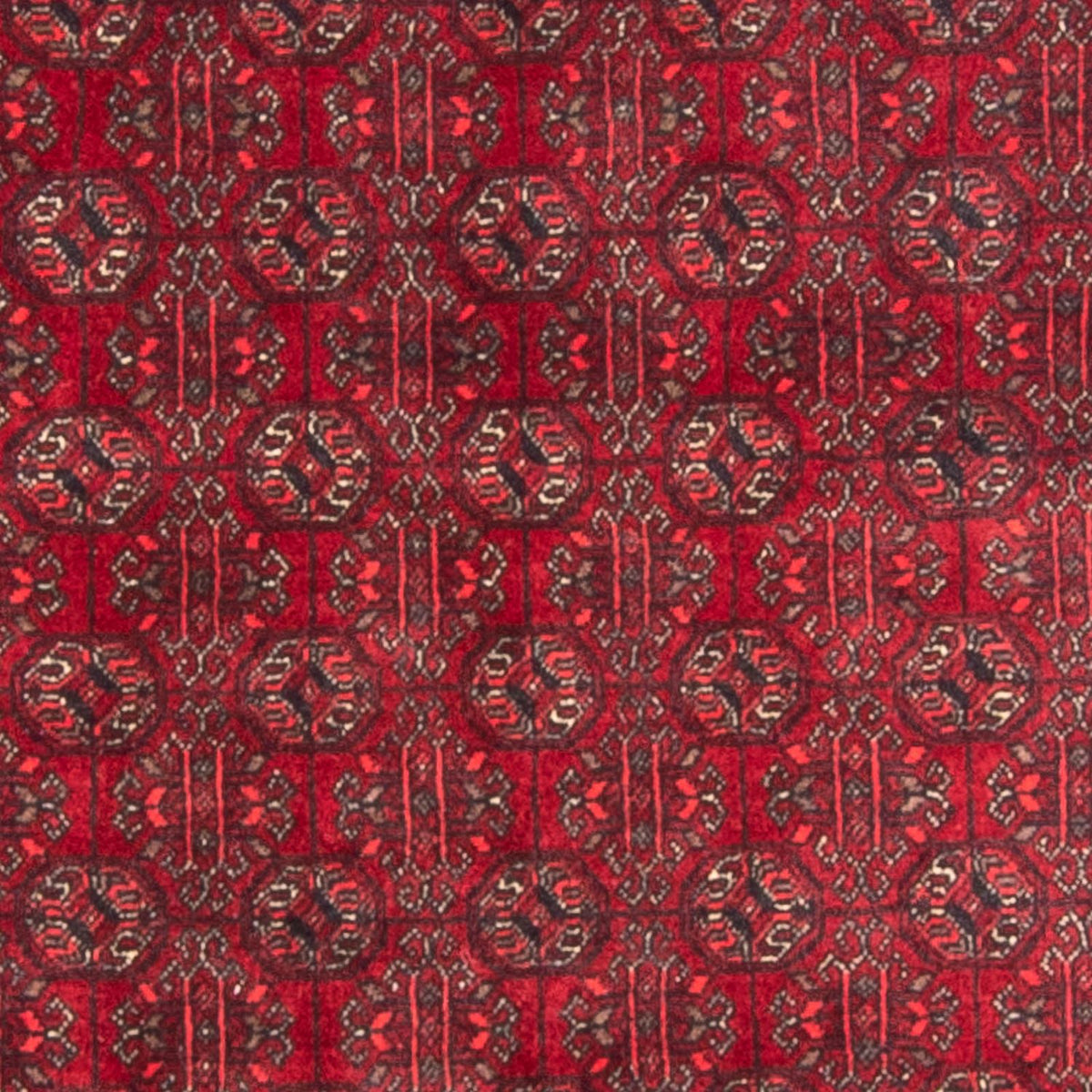 Alfombra afgana - Bukhara - 196 x 124 cm - rojo