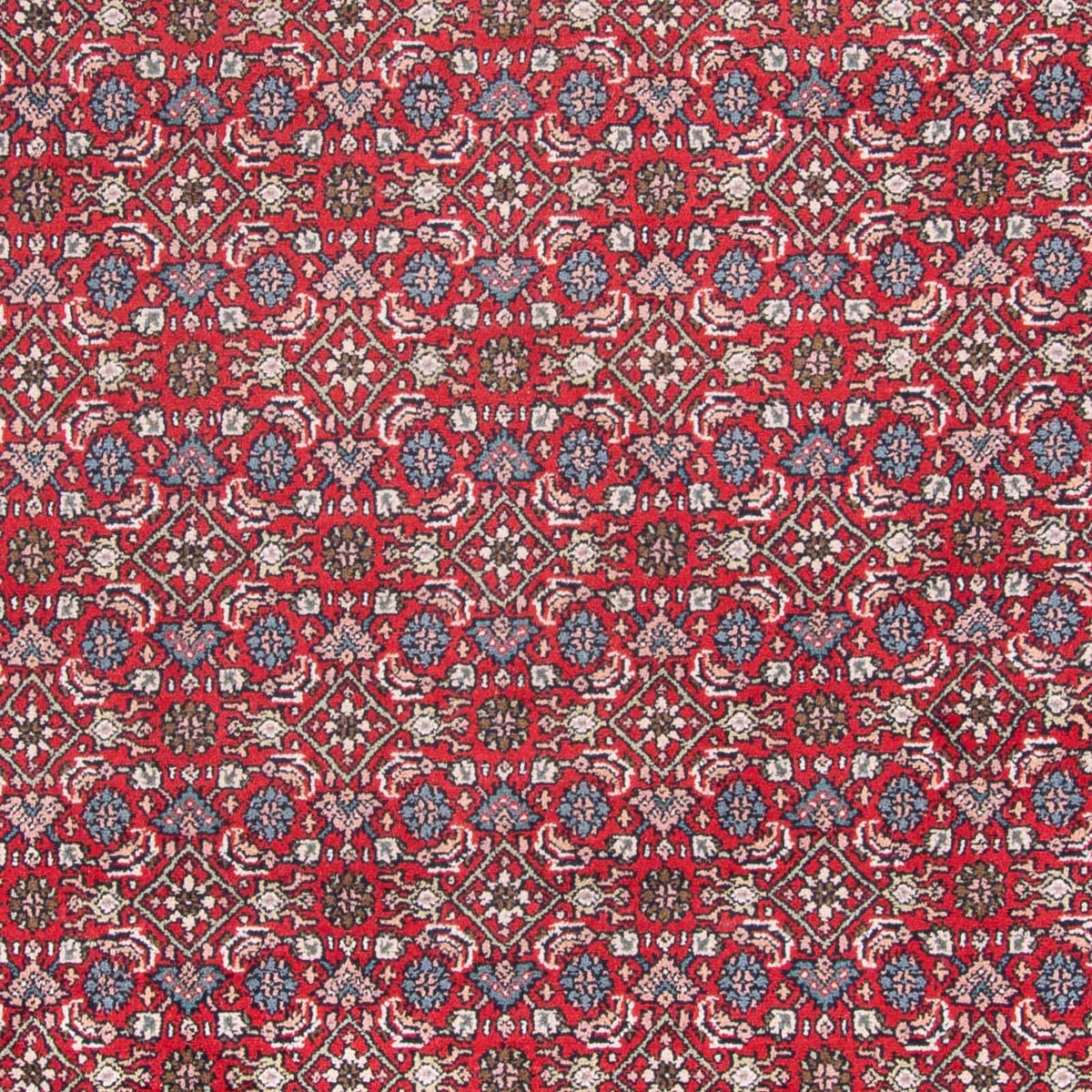 Alfombra oriental - Bidjar - Indus - 353 x 253 cm - rojo