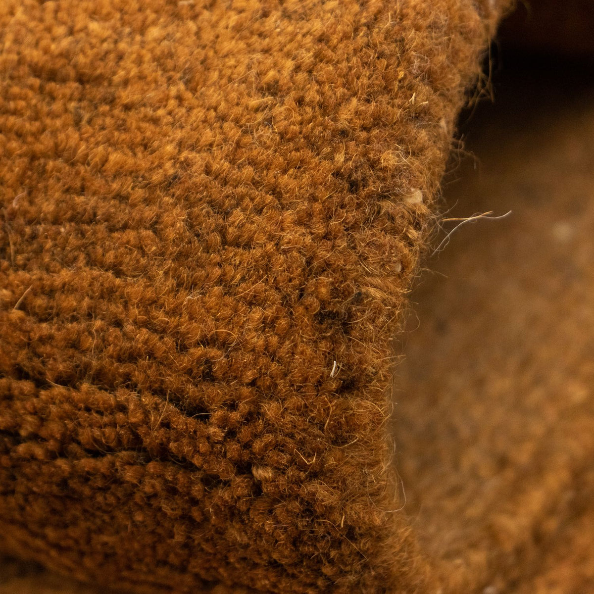 Alfombra de Nepal - 340 x 248 cm - marrón