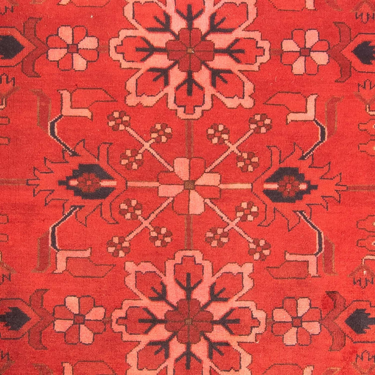 Alfombra afgana - Hatschlu - 296 x 210 cm - rojo oscuro