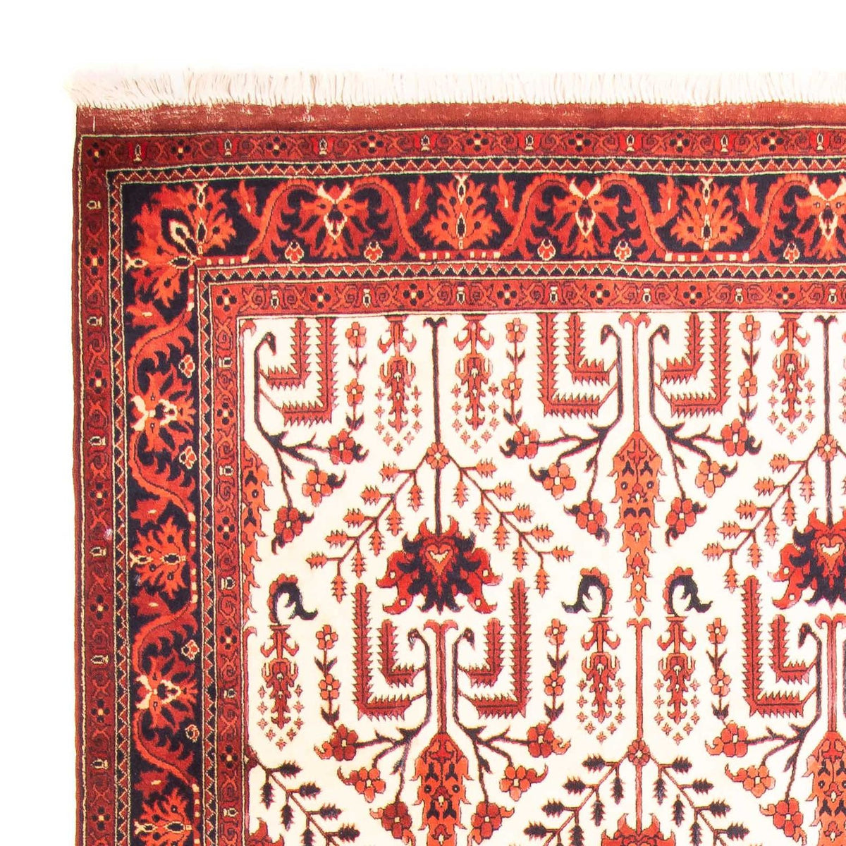Alfombra afgana - 270 x 186 cm - beige