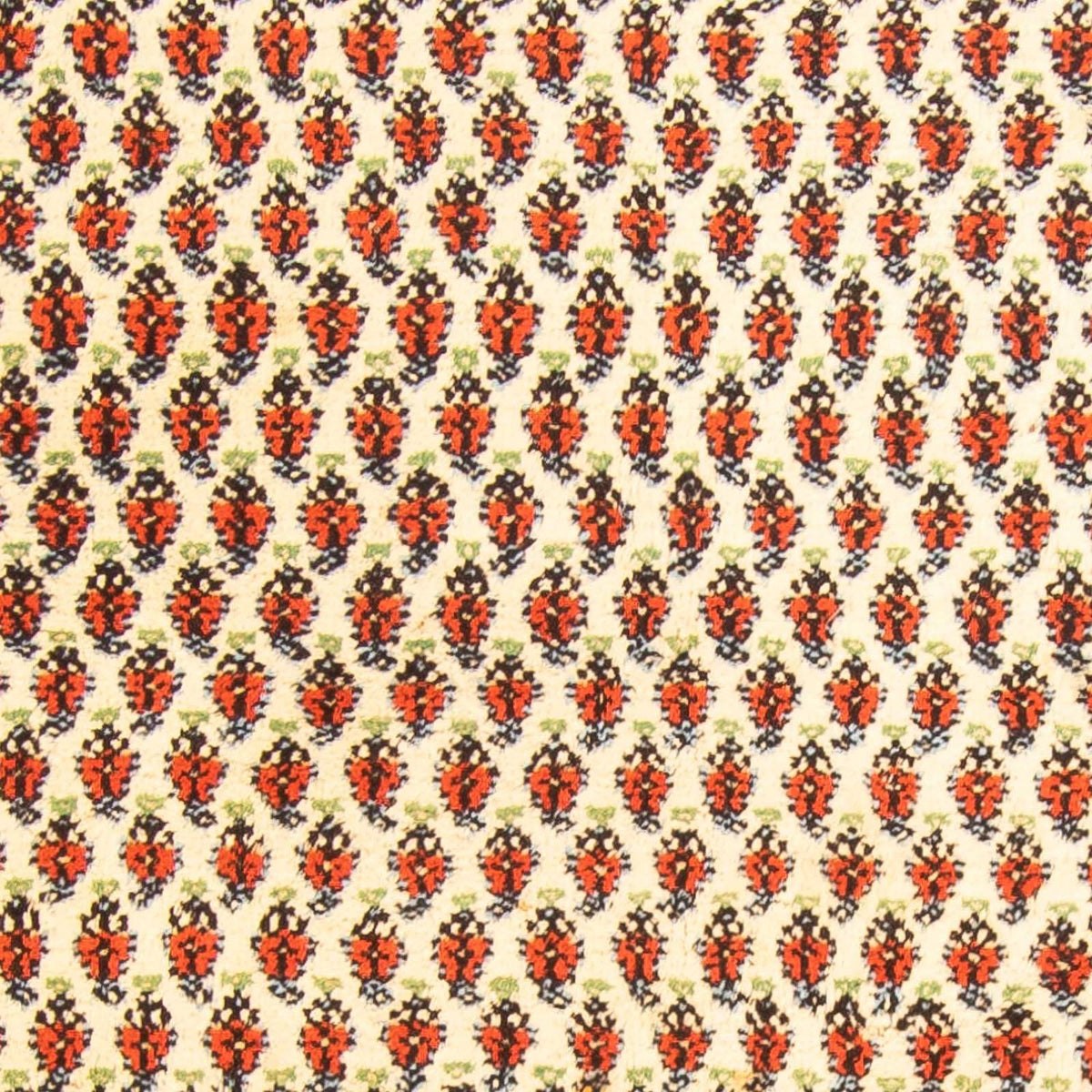 Alfombra oriental - Mir - Indus - 238 x 174 cm - beige