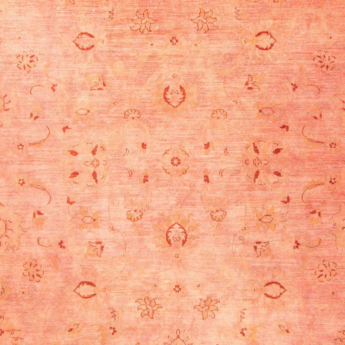 Alfombra Ziegler - 300 x 242 cm - rojo claro