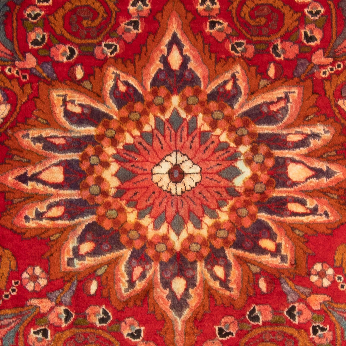 Alfombra persa - Nómada - 460 x 326 cm - rojo oscuro