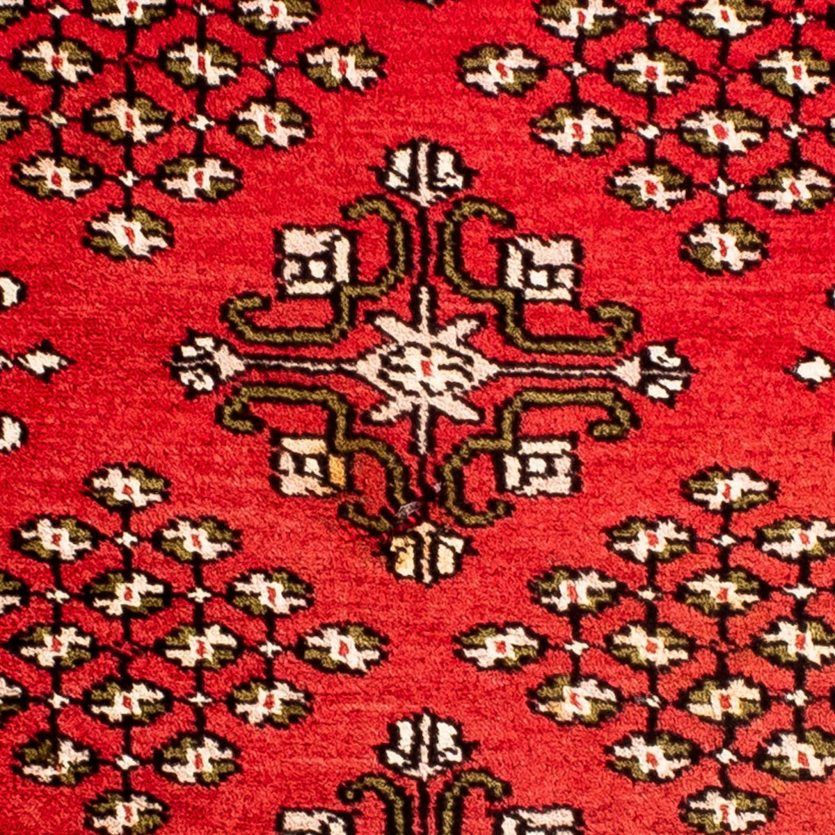 Alfombra Pakistani cuadrado - 63 x 62 cm - rojo