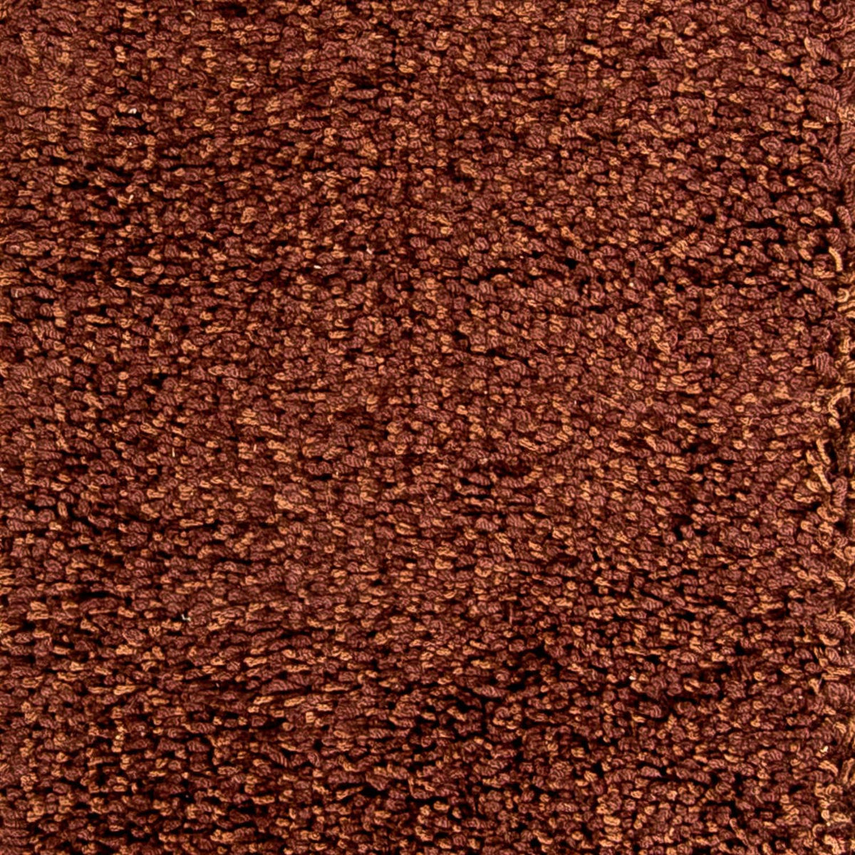 Alfombra de pasillo Alfombra de pelo largo - 304 x 65 cm - marrón