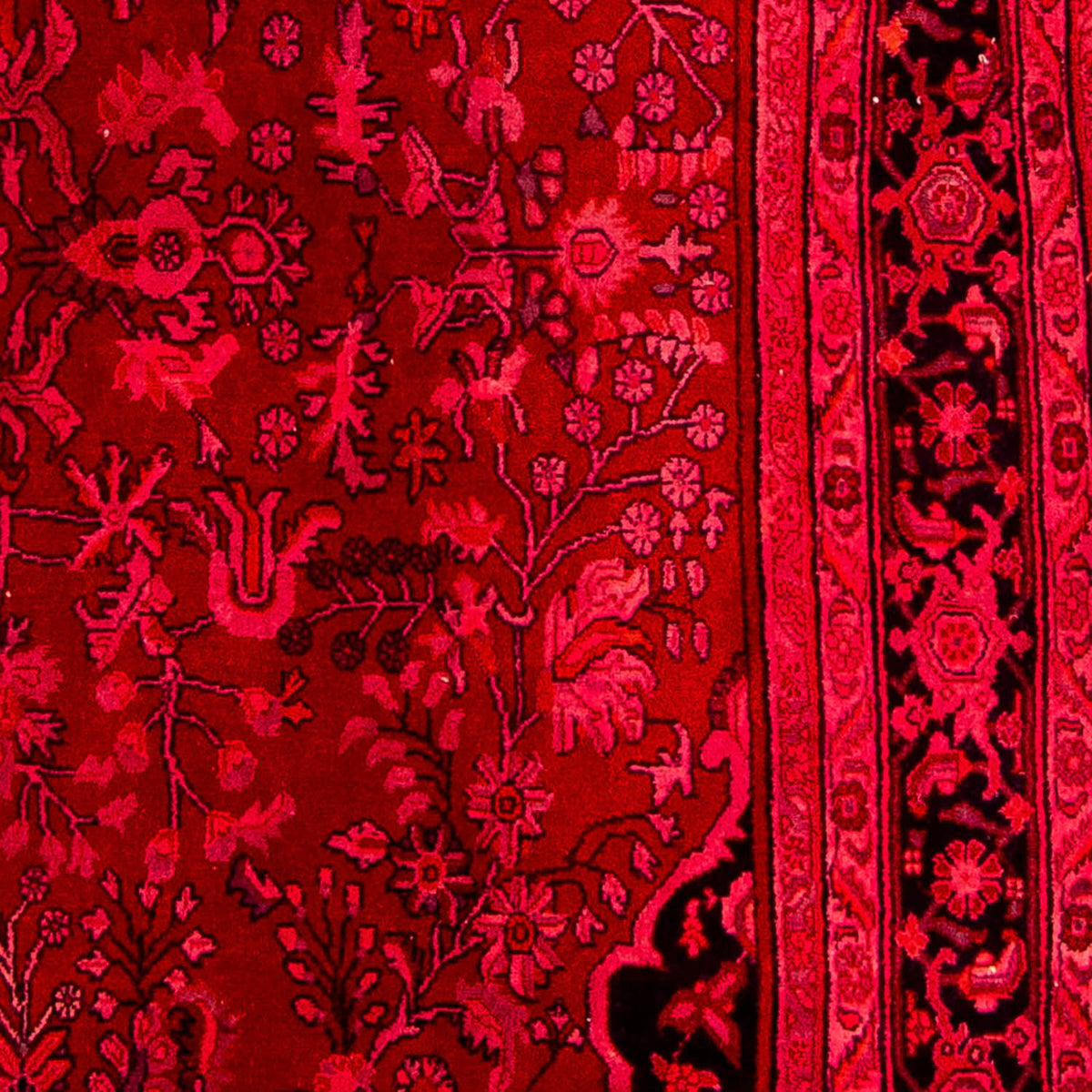 Alfombra de pasillo Alfombra persa - Bidjar - 320 x 83 cm - rojo