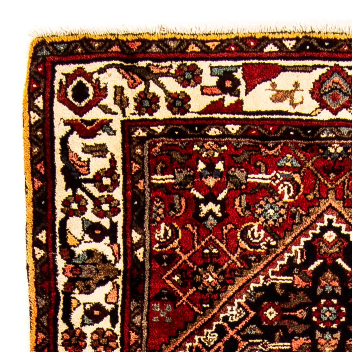 Alfombra de pasillo Alfombra persa - Nómada - 228 x 100 cm - azul oscuro