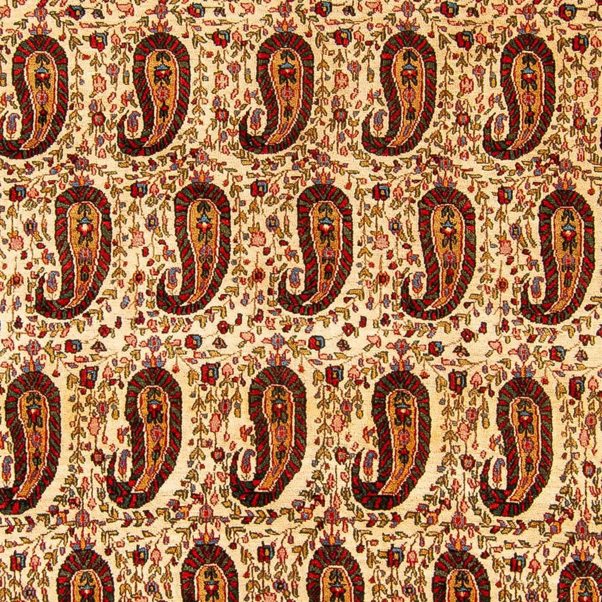 Alfombra persa - Clásica - 329 x 219 cm - beige