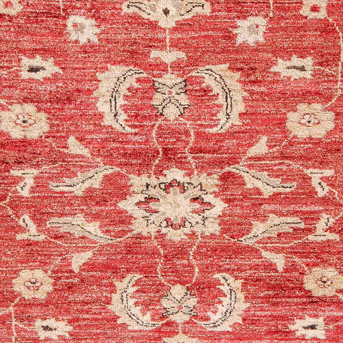 Alfombra Ziegler - 327 x 239 cm - rojo