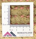 Alfombra de Nepal - 140 x 70 cm - multicolor