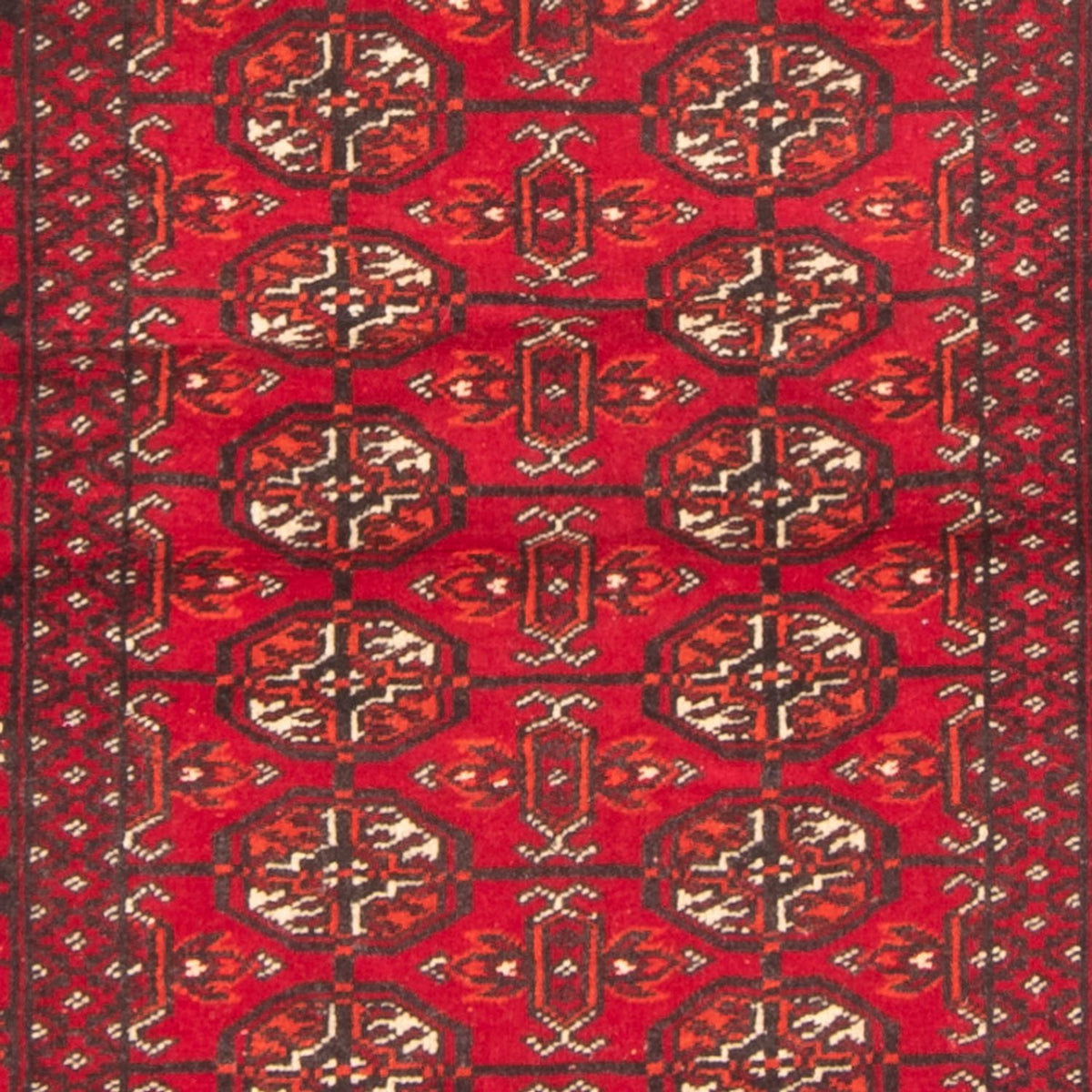 Alfombra de pasillo Alfombra Turkaman - 180 x 83 cm - rojo
