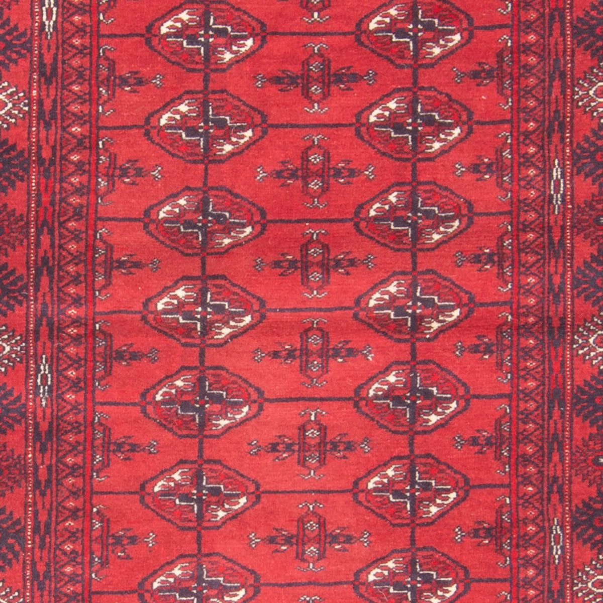 Alfombra de pasillo Alfombra Turkaman - 191 x 88 cm - rojo