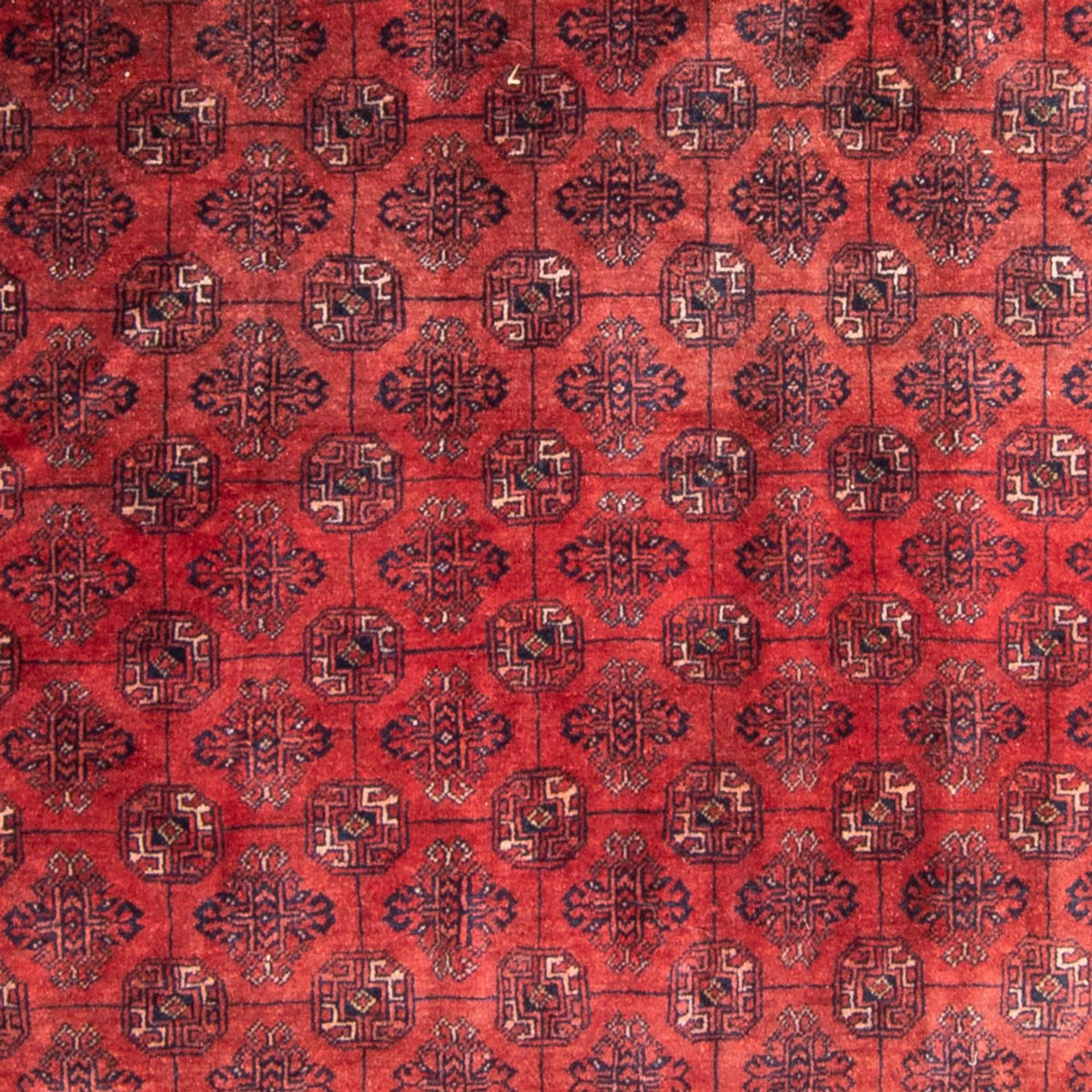 Alfombra Turkaman - 305 x 202 cm - rojo
