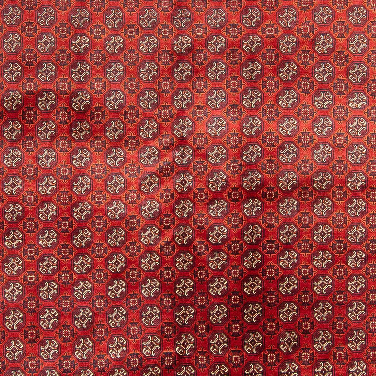 Alfombra afgana - Bukhara - 300 x 200 cm - rojo