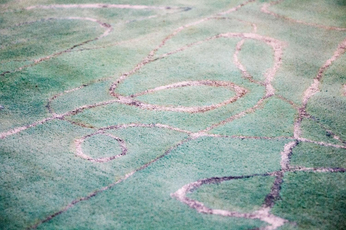 Alfombra de diseño - 244 x 154 cm - verde