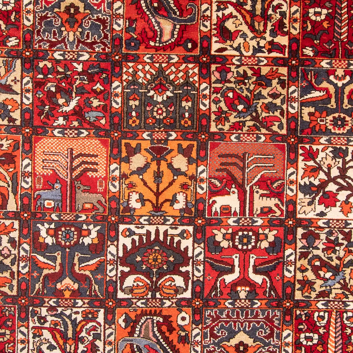 Alfombra persa - Nómada - 306 x 201 cm - rojo