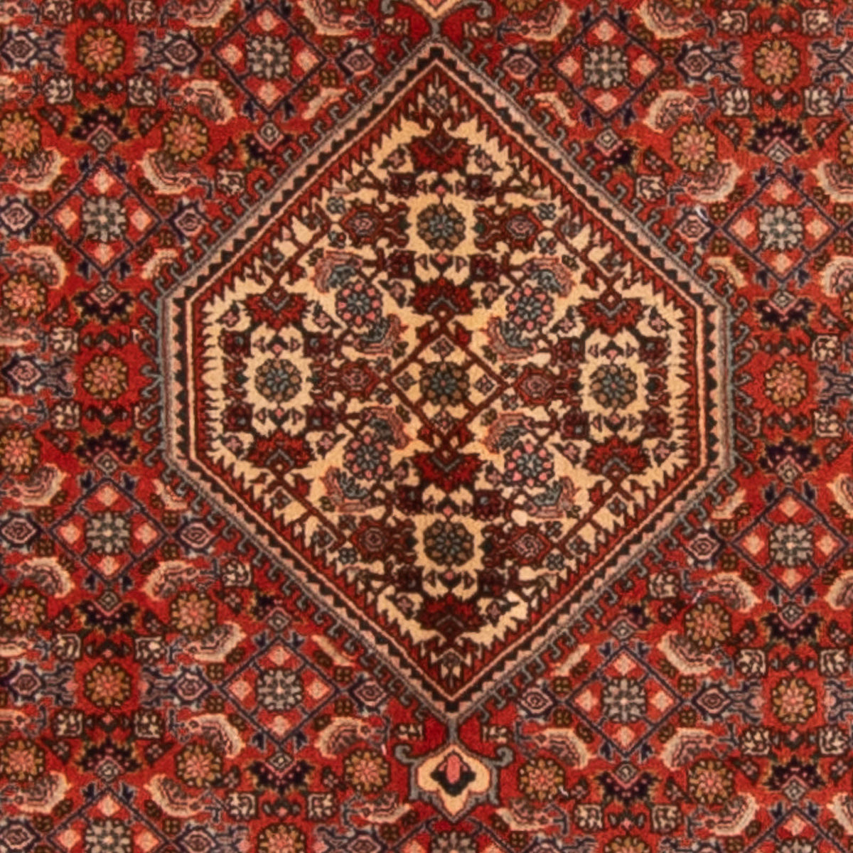 Alfombra persa - Bidjar - 168 x 116 cm - rojo