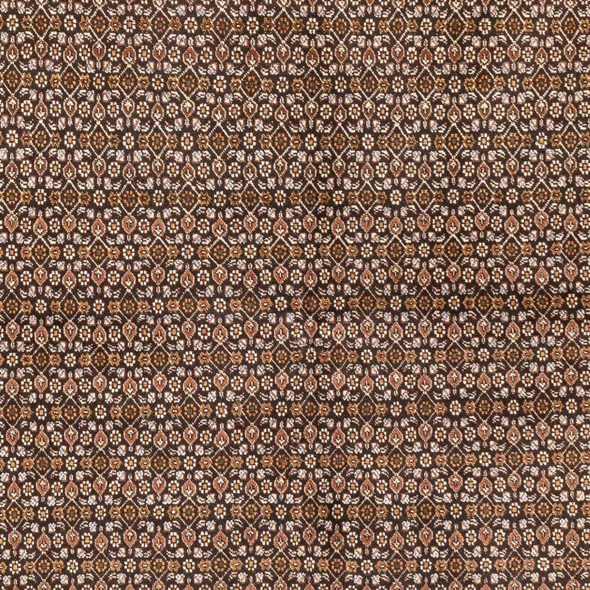 Alfombra Persa - Tabriz - Real - 195 x 154 cm - beige oscuro