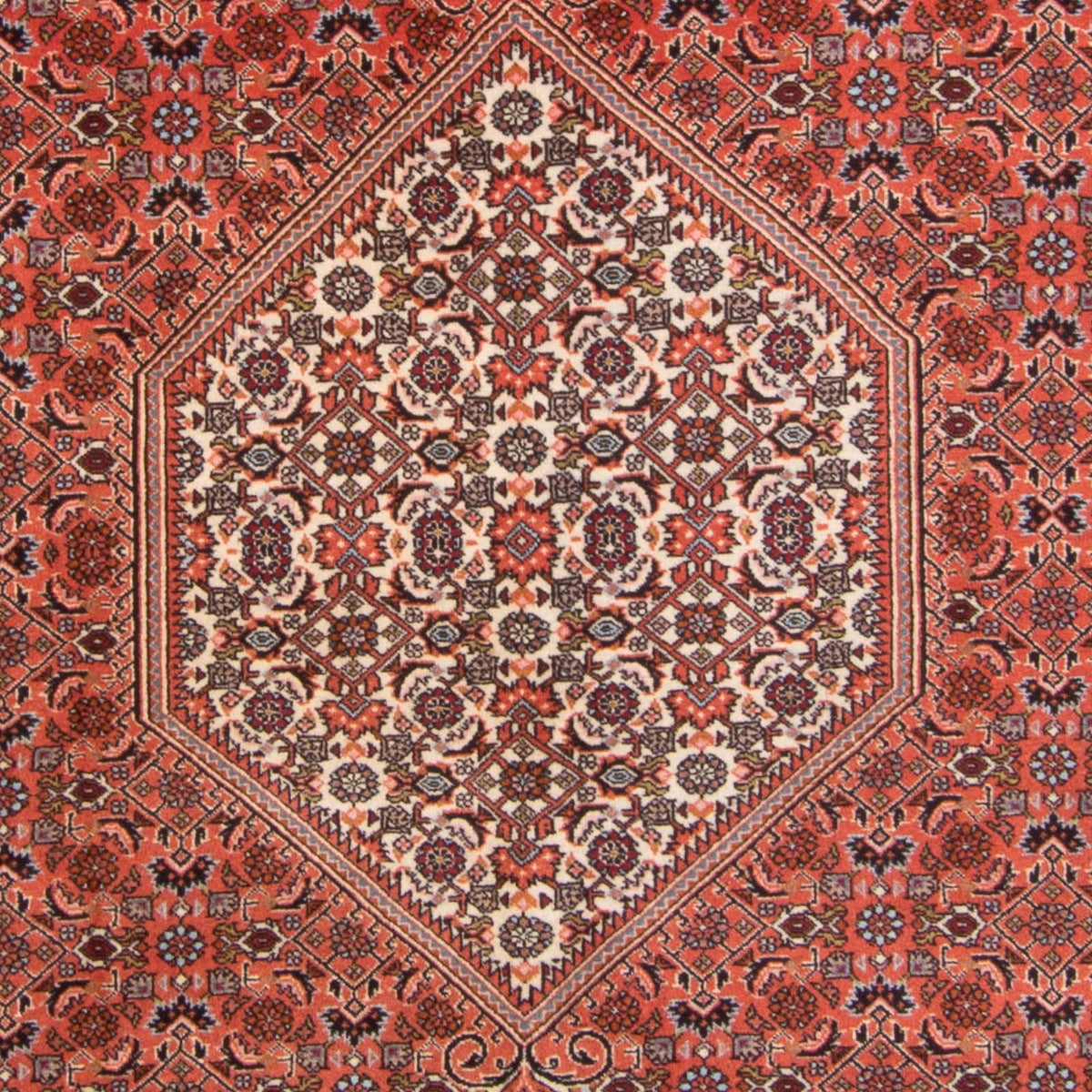Alfombra persa - Bidjar - 295 x 195 cm - rojo