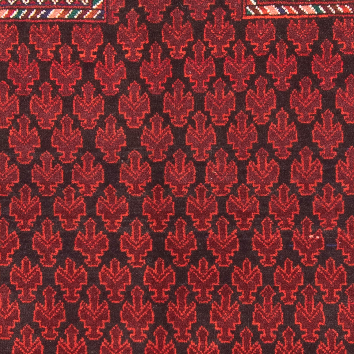 Alfombra Belutsch - Alfombra de Oración - 155 x 103 cm - rojo