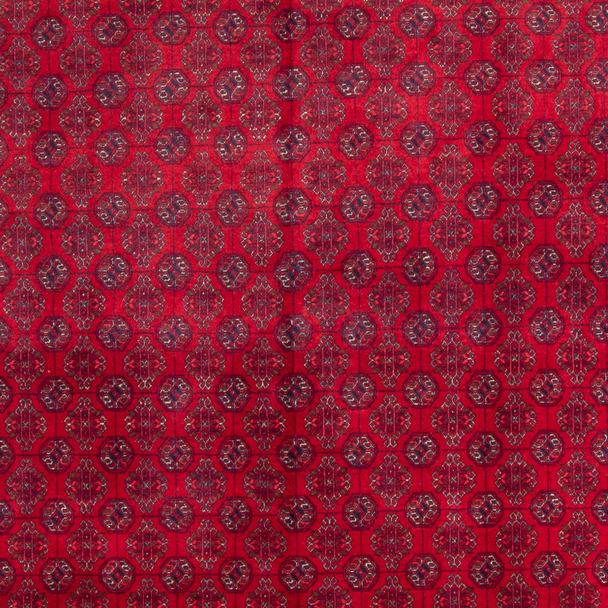 Alfombra afgana - Bukhara - 340 x 240 cm - rojo