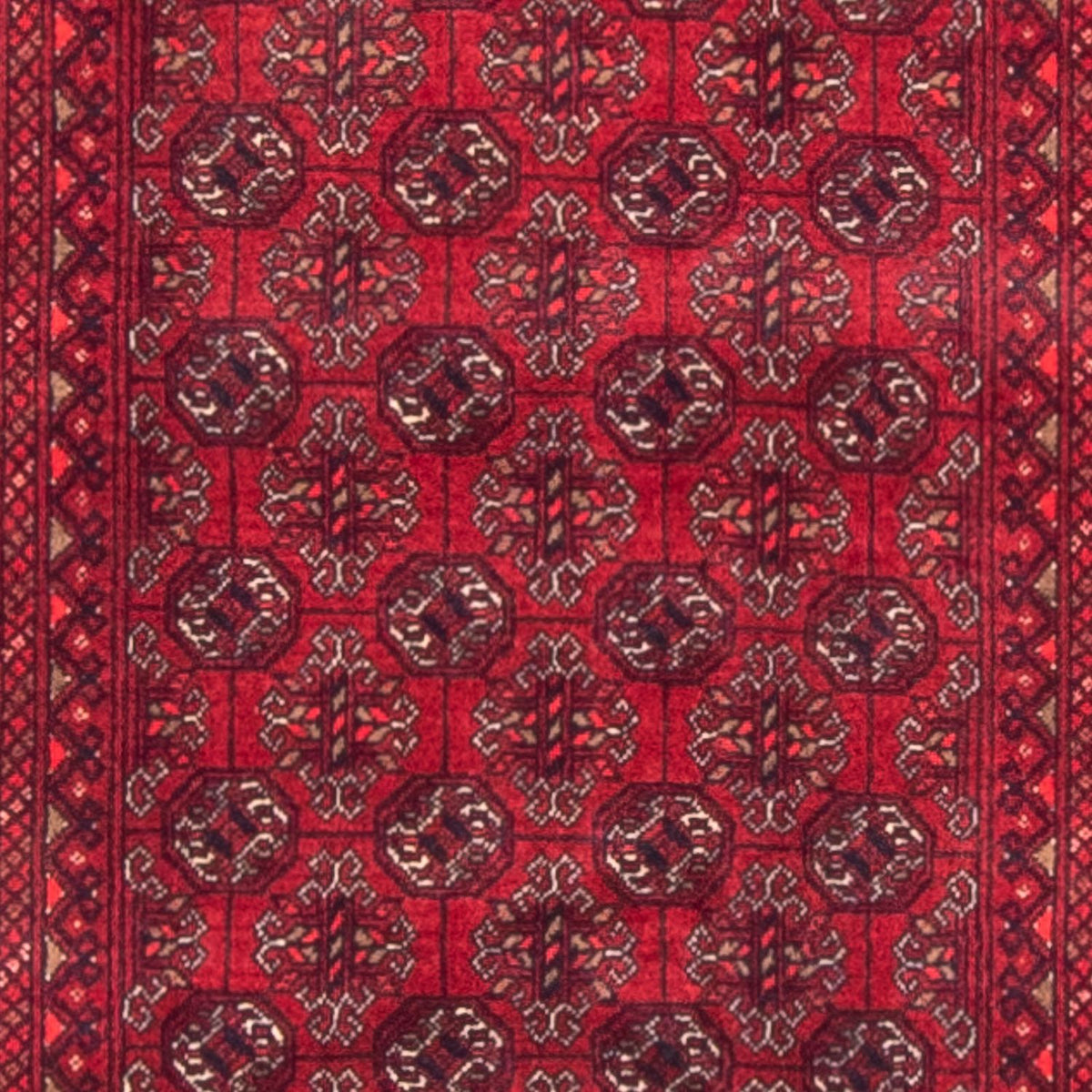 Alfombra de pasillo Alfombra afgana - Bukhara - 290 x 80 cm - rojo