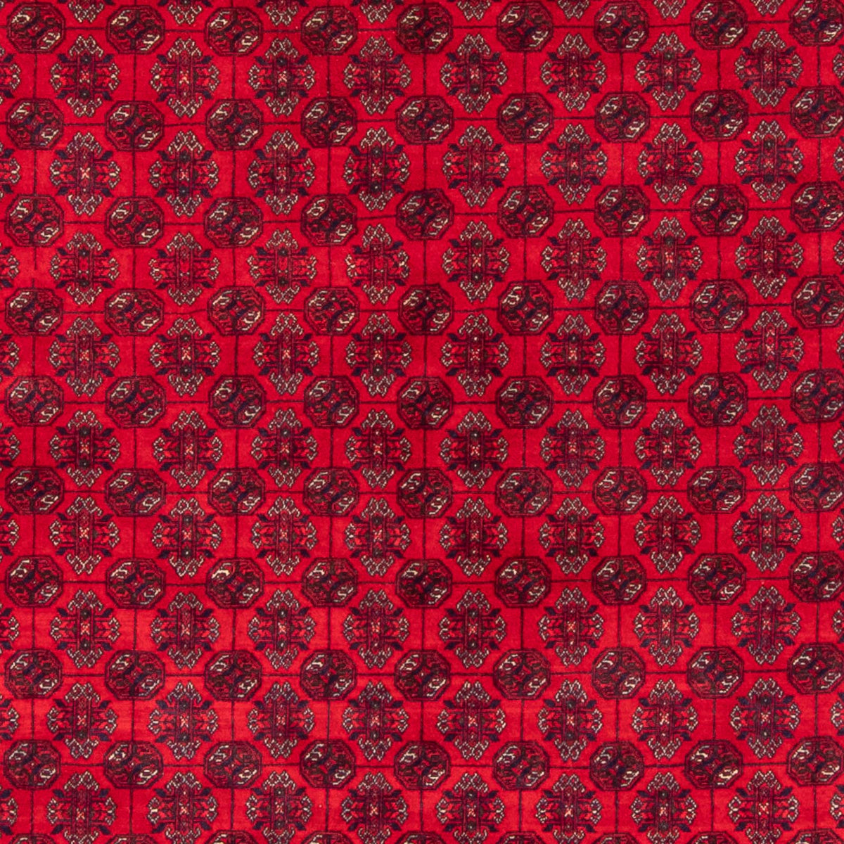 Alfombra afgana - Bukhara - 290 x 196 cm - rojo