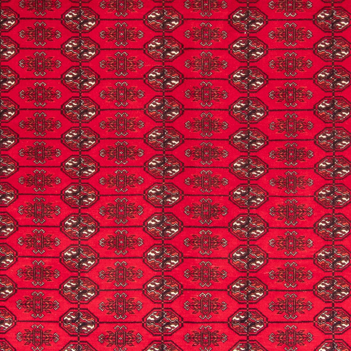 Alfombra afgana - Bukhara - 282 x 200 cm - rojo