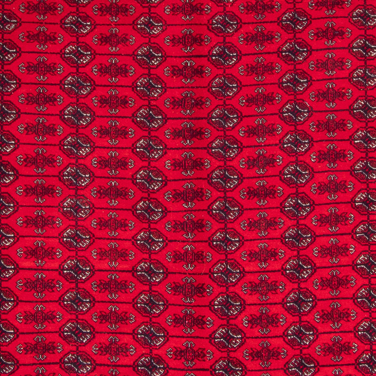 Alfombra afgana - Bukhara - 292 x 200 cm - rojo