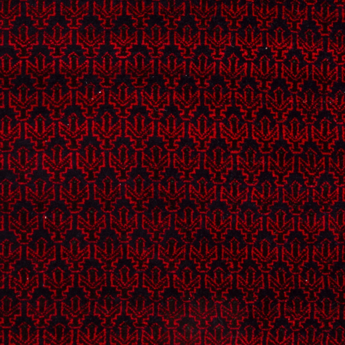 Alfombra Belutsch - 148 x 96 cm - rojo