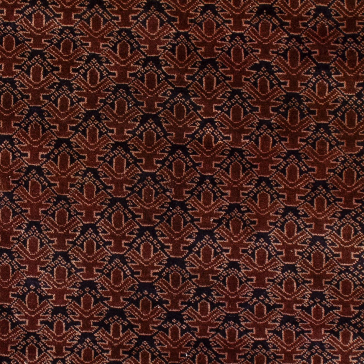 Alfombra Belutsch - 140 x 102 cm - rojo