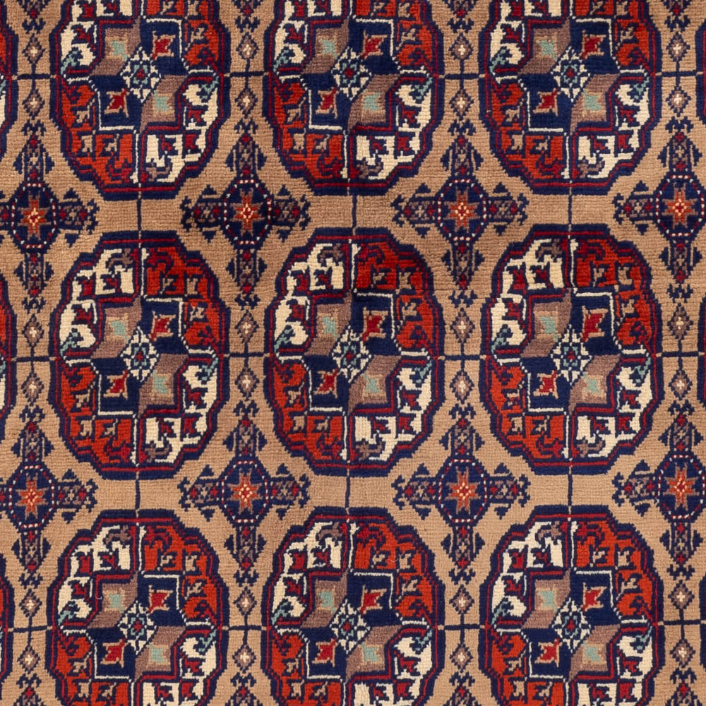 Alfombra afgana - 195 x 148 cm - beige oscuro