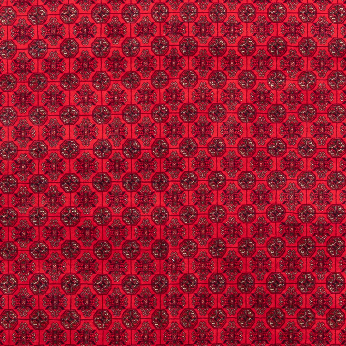 Alfombra afgana - 295 x 194 cm - rojo