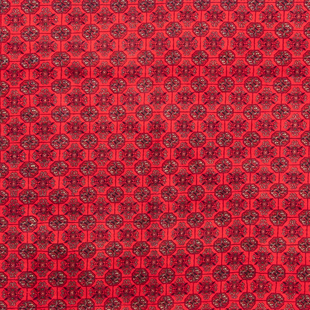 Alfombra afgana - 289 x 200 cm - rojo