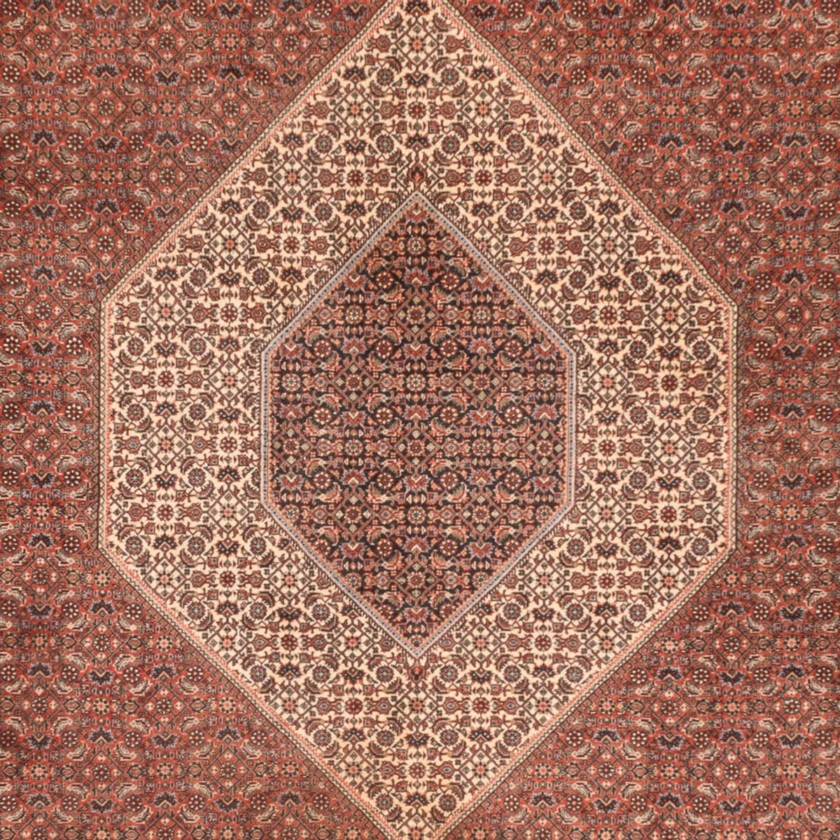 Alfombra persa - Bidjar - 300 x 255 cm - óxido
