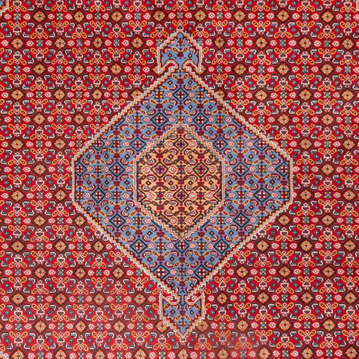 Alfombra persa - Nómada - 300 x 205 cm - rojo