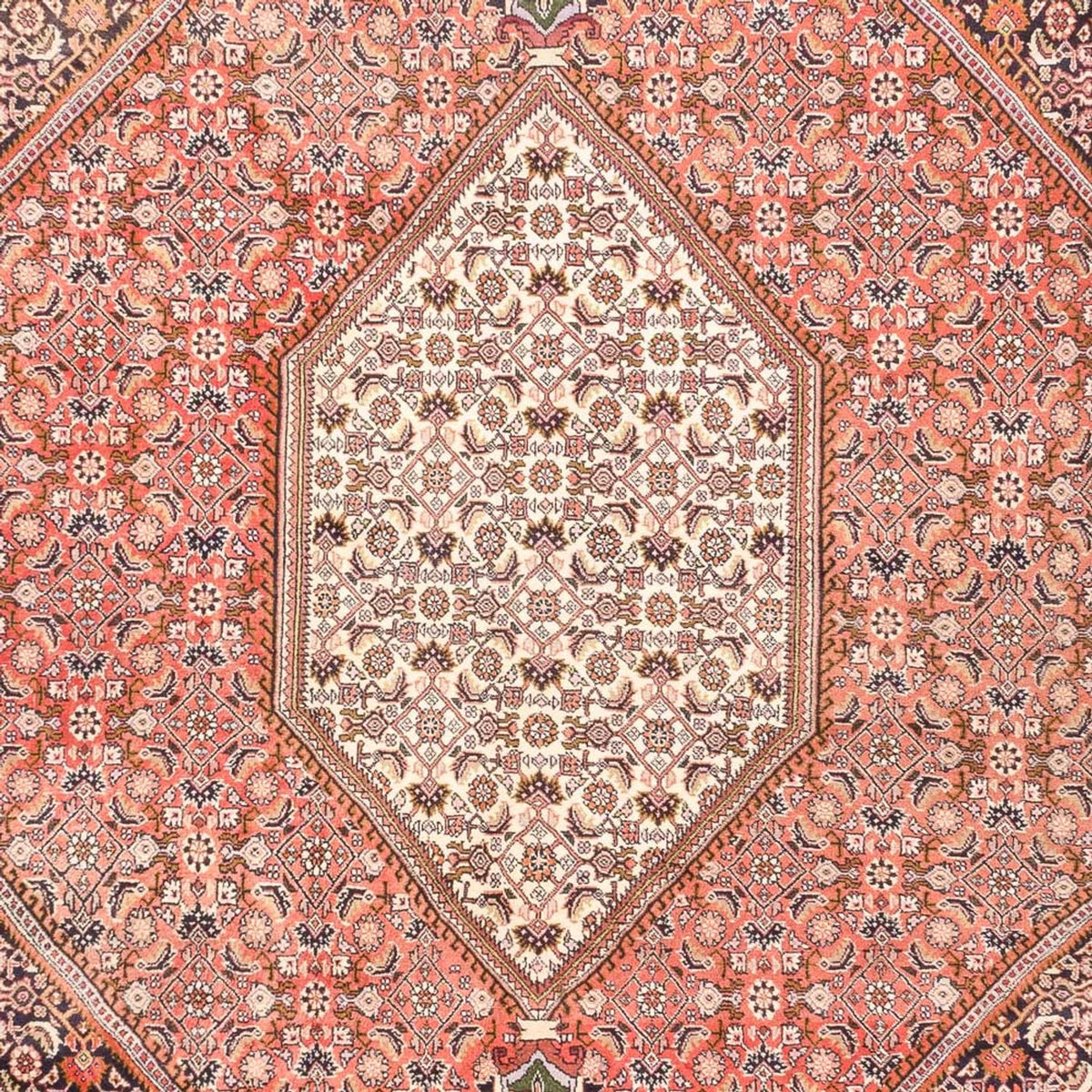 Alfombra persa - Bidjar - 287 x 198 cm - rojo claro