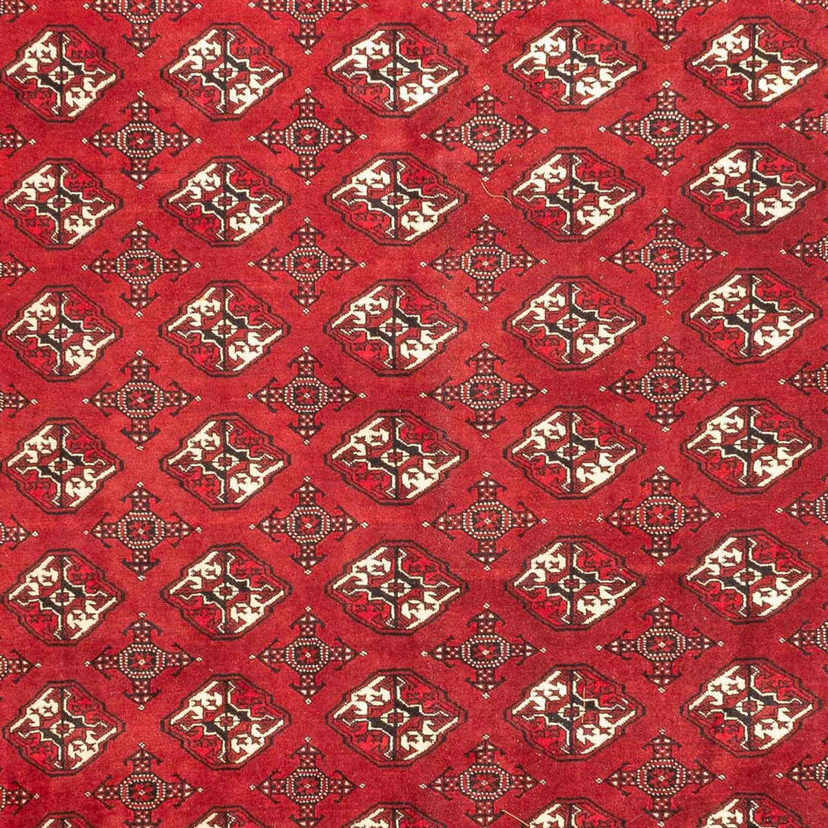 Alfombra Turkaman - 391 x 270 cm - rojo