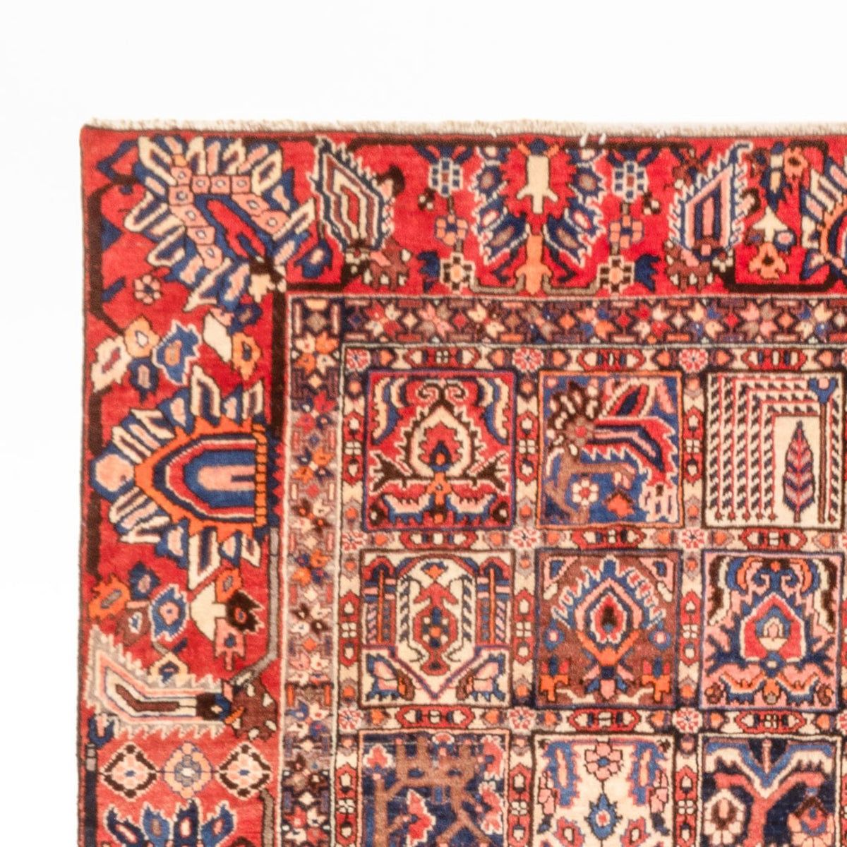 Alfombra persa - Nómada - 340 x 250 cm - multicolor