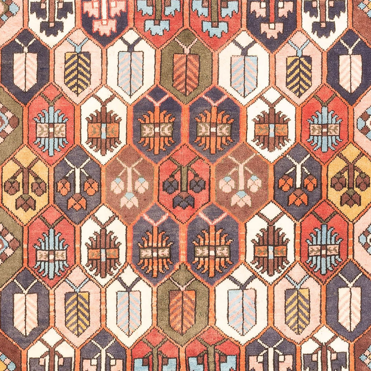 Alfombra persa - Nómada - 305 x 215 cm - multicolor