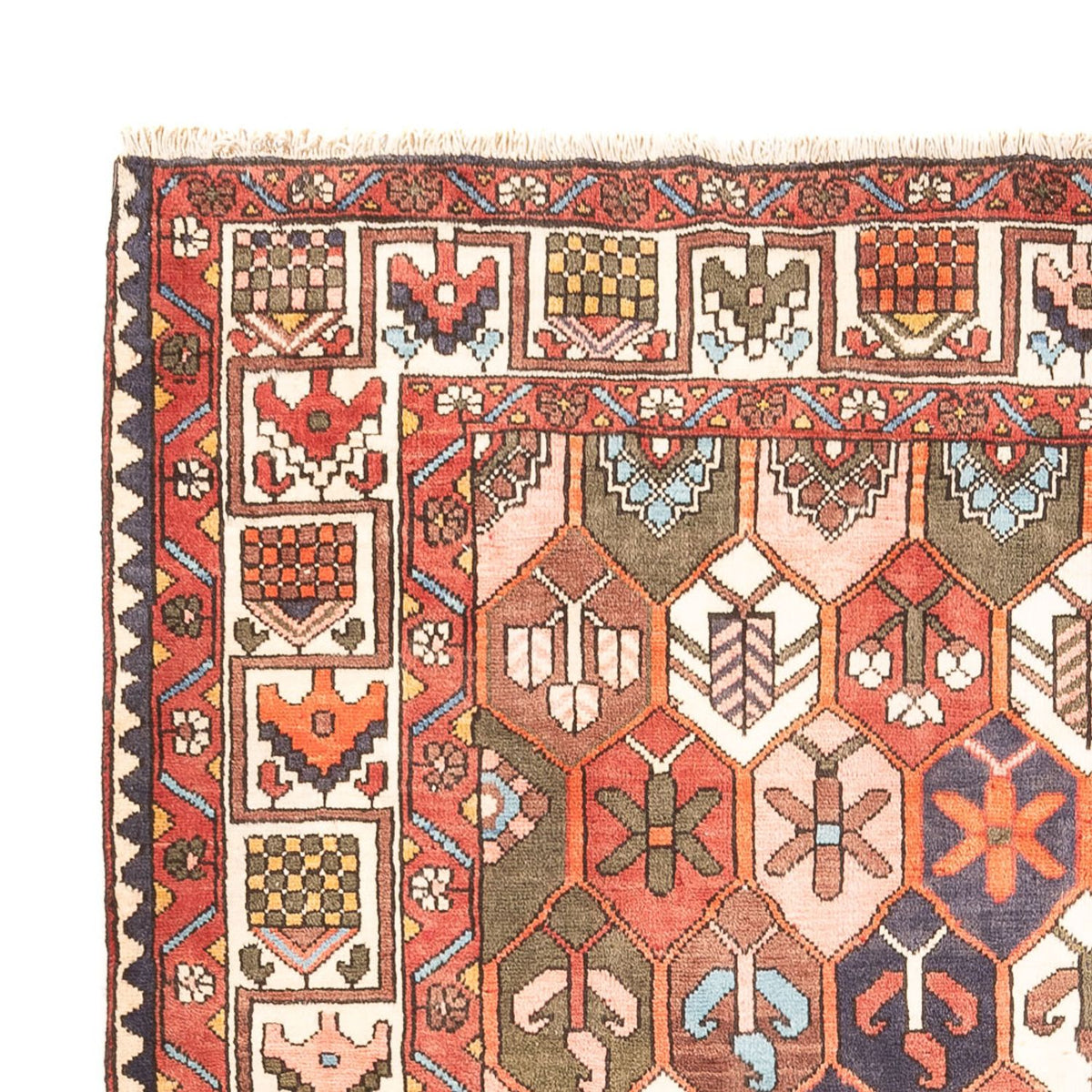 Alfombra persa - Nómada - 305 x 215 cm - multicolor