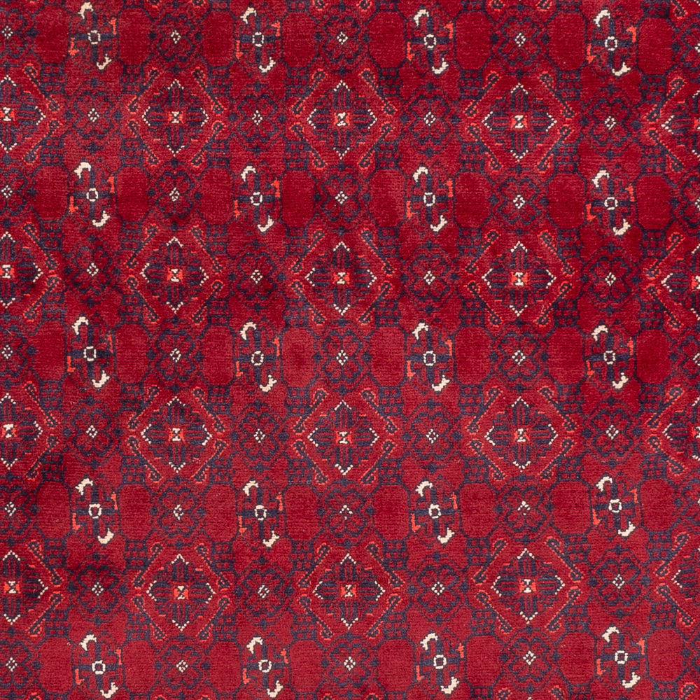 Alfombra afgana - Bukhara - 281 x 193 cm - rojo