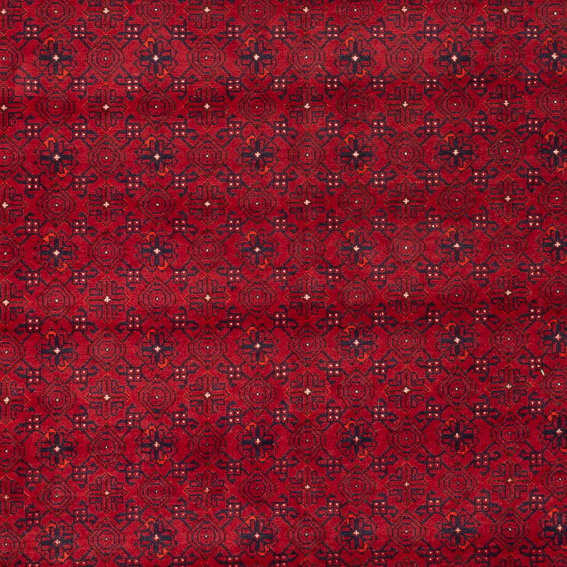 Alfombra afgana - Bukhara - 294 x 195 cm - rojo
