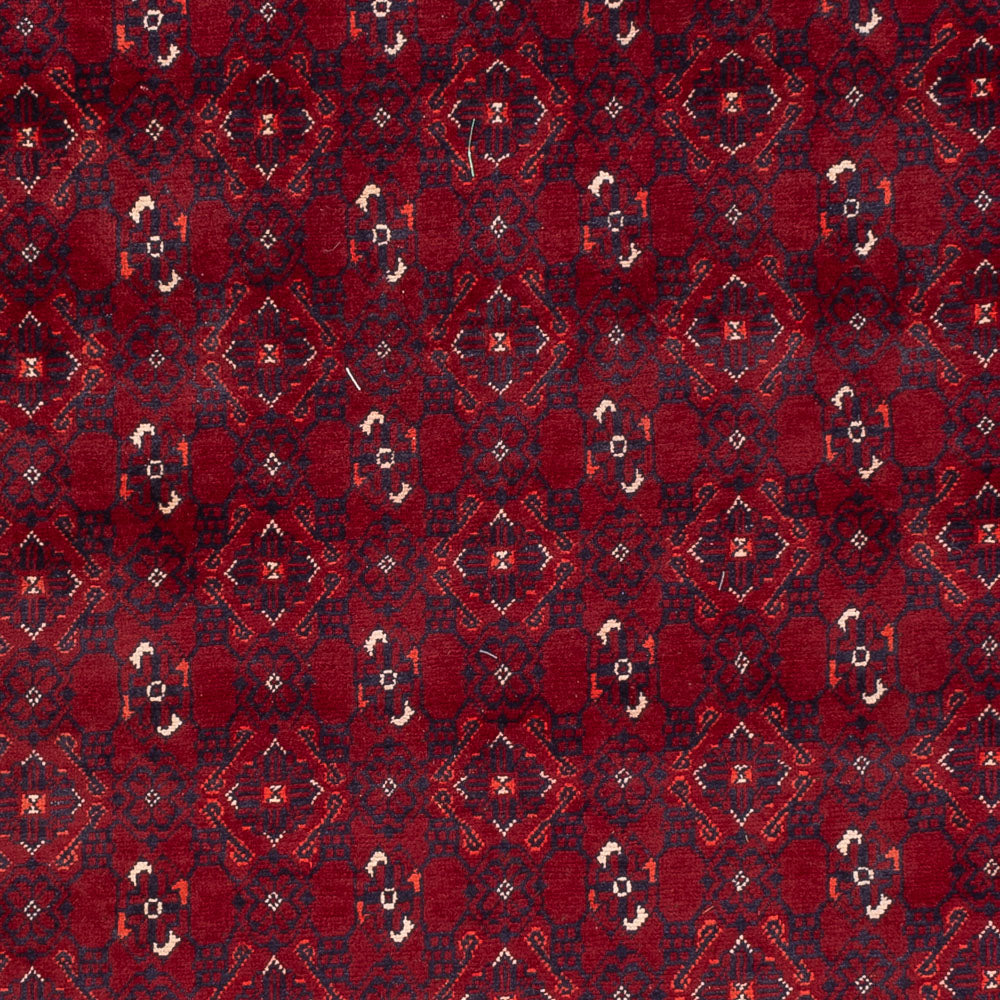 Alfombra afgana - Bukhara - 284 x 195 cm - rojo