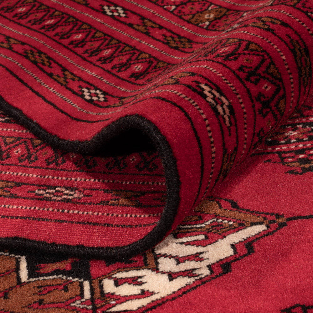 Alfombra afgana - Bukhara - 382 x 300 cm - rojo