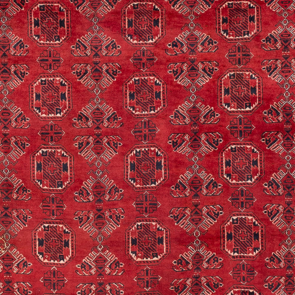 Alfombra afgana - 275 x 203 cm - rojo