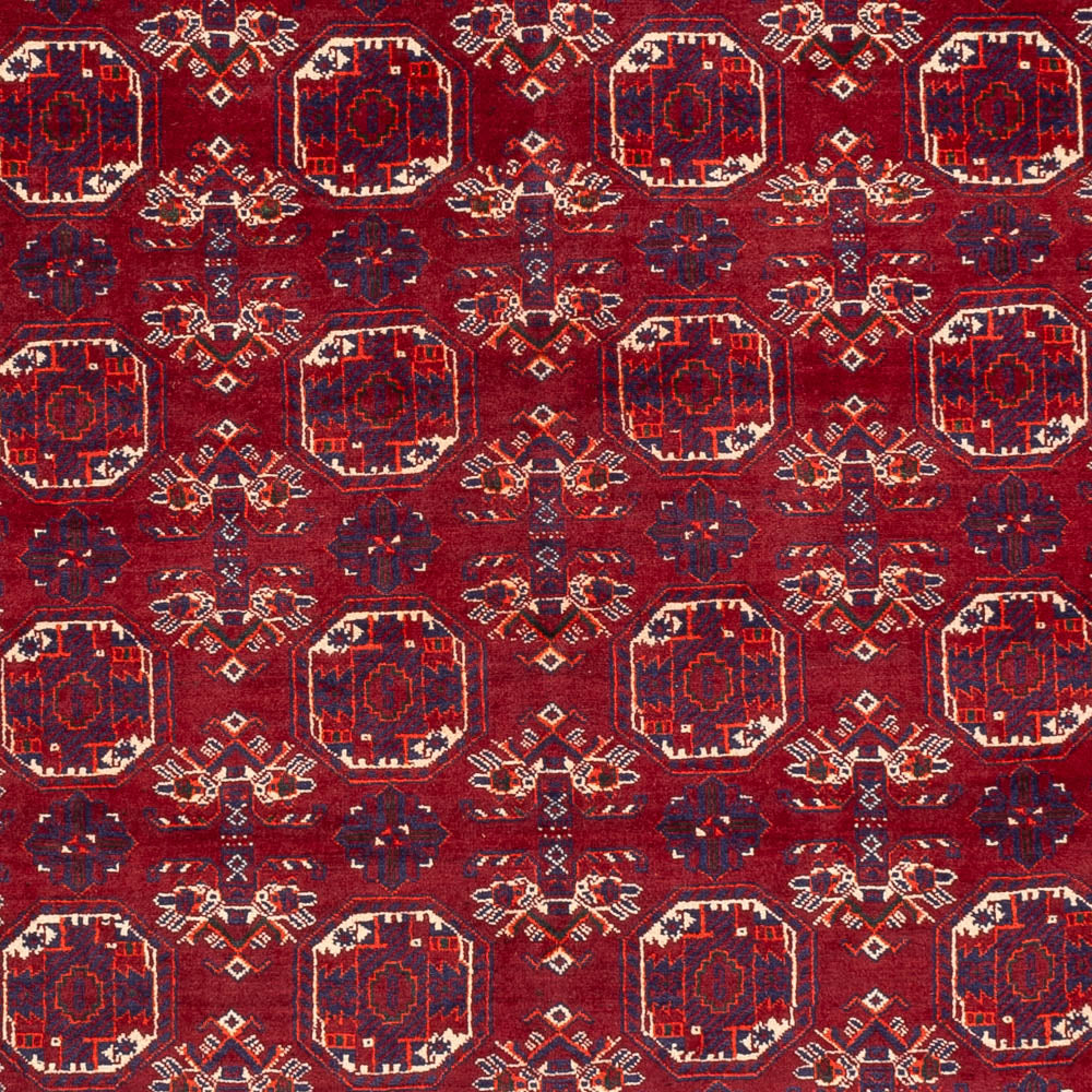 Alfombra afgana - Bukhara - 283 x 198 cm - gris oscuro