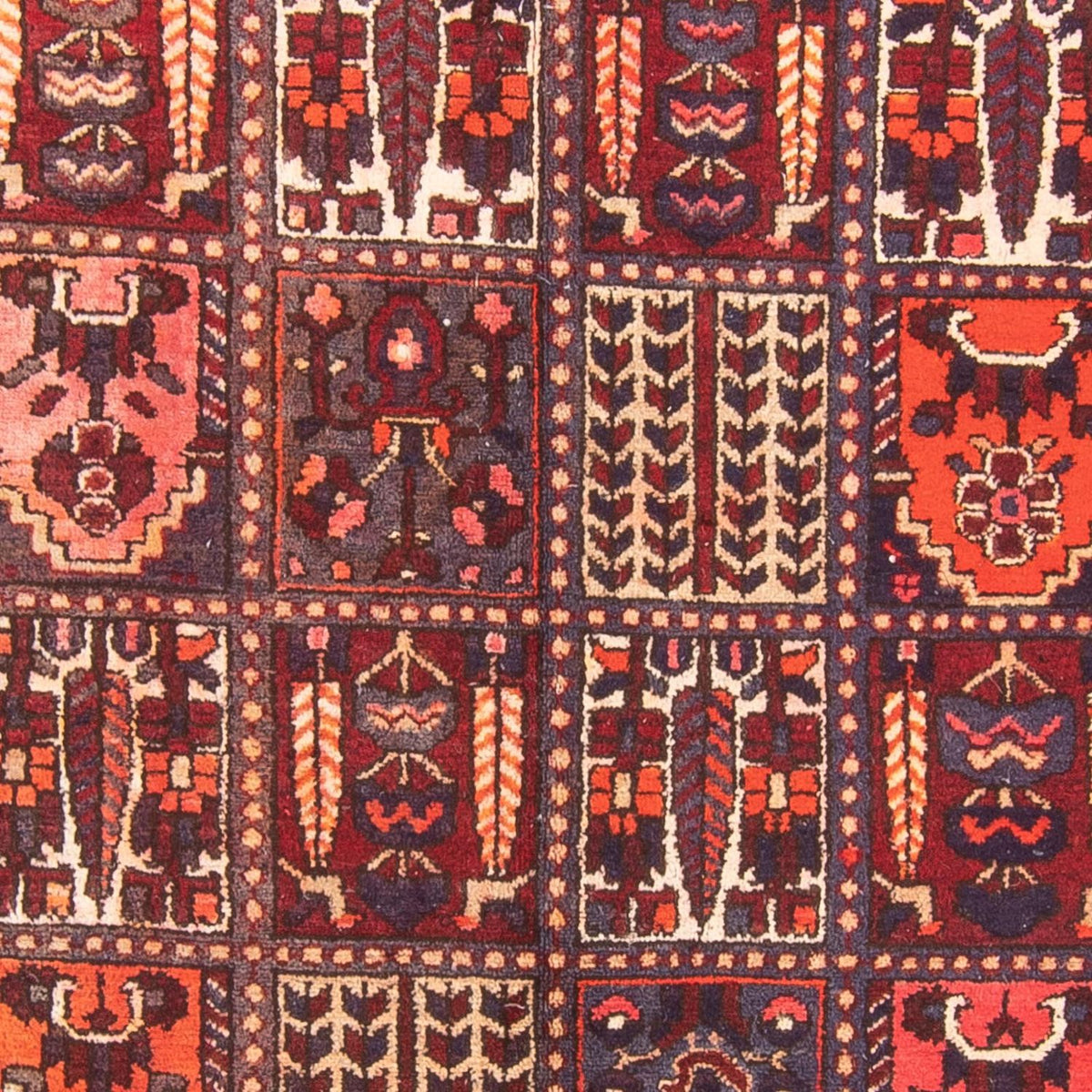 Alfombra de pasillo Alfombra persa - Nómada - 290 x 158 cm - multicolor