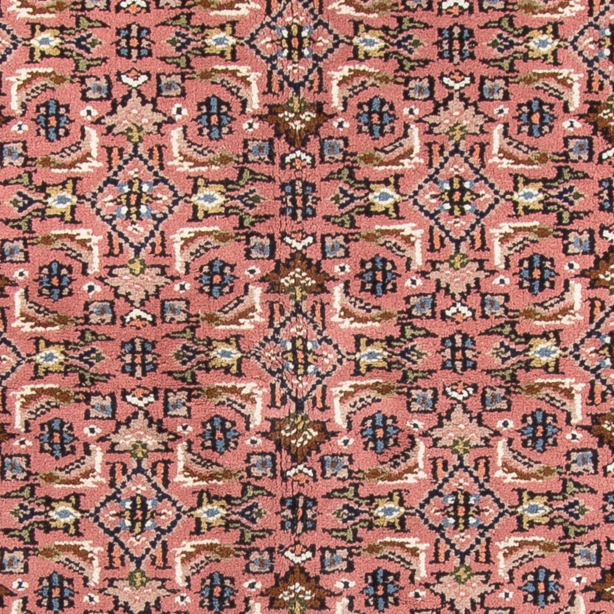 Alfombra oriental - Bidjar - Indus - 240 x 170 cm - salmón